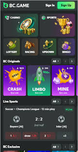 Exploring the Exciting World of BC.Game Poker Games 1732344878